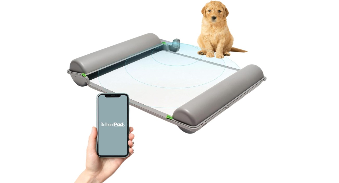 BrilliantPad Smart Indoor Dog Potty For Small Pets Review